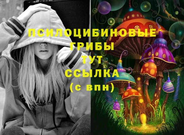 кокс Козловка